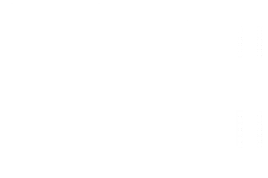 DDC Logo white